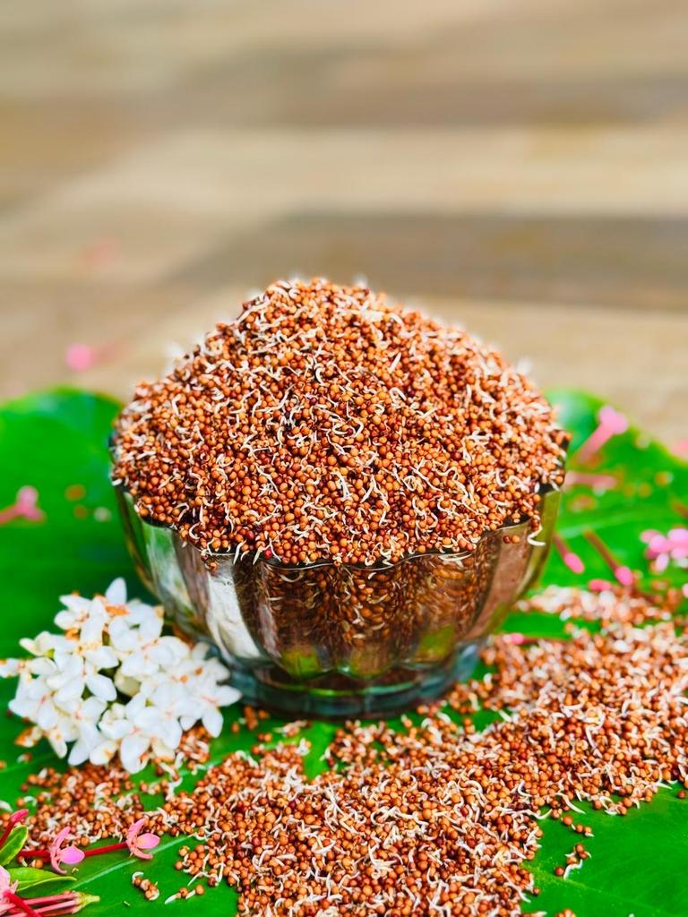 Sprouted Ragi Flour - 500 Grms